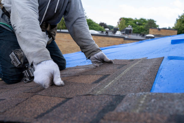 Trusted Warsaw, NC Roofing Contractor Experts
